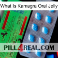 What Is Kamagra Oral Jelly new03